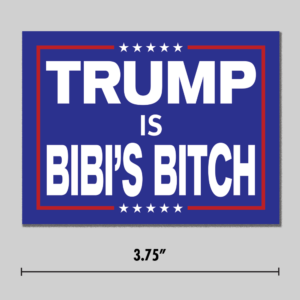 "Trump Is Bibi's Bitch" Sticker